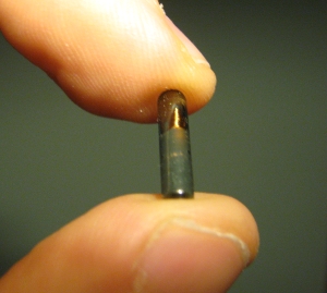 An implantable RFID chip